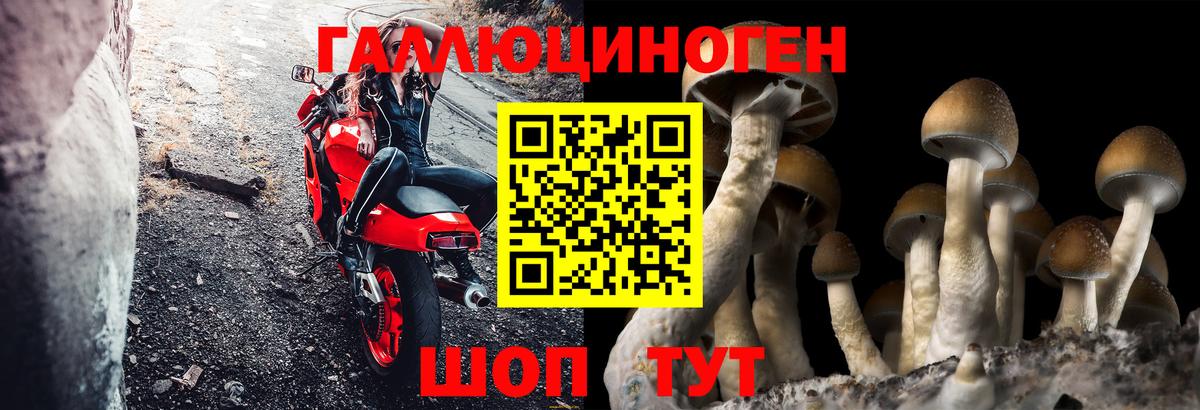 Галлюциногенные грибы мицелий  наркота  Магнитогорск  Вход с VPN 
