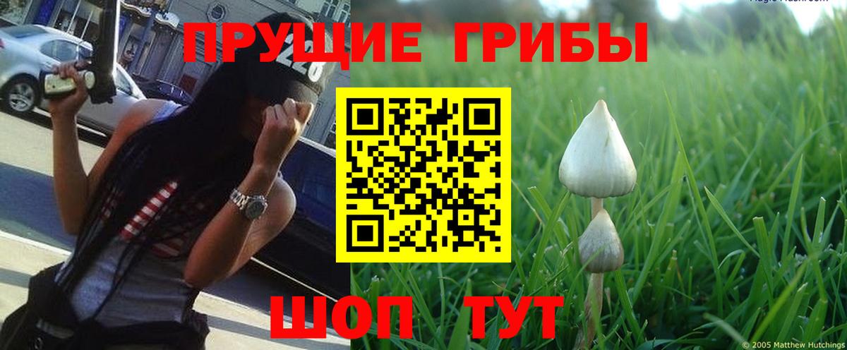 Псилоцибиновые грибы ЛСД Магнитогорск
